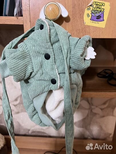 Одежду для собак