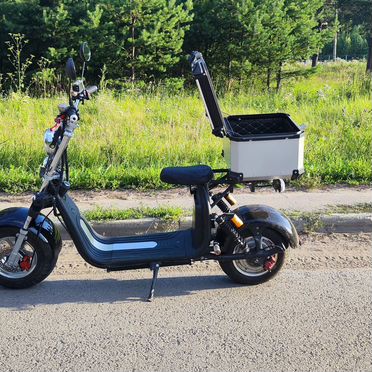 CityCoco GT X11, 2022, 12 410 км