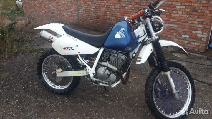Suzuki DR250R