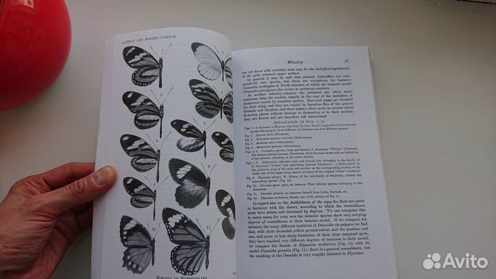Darwin and Modern science, Wild cards 8