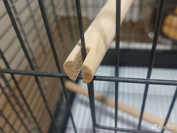 Домик для попугая