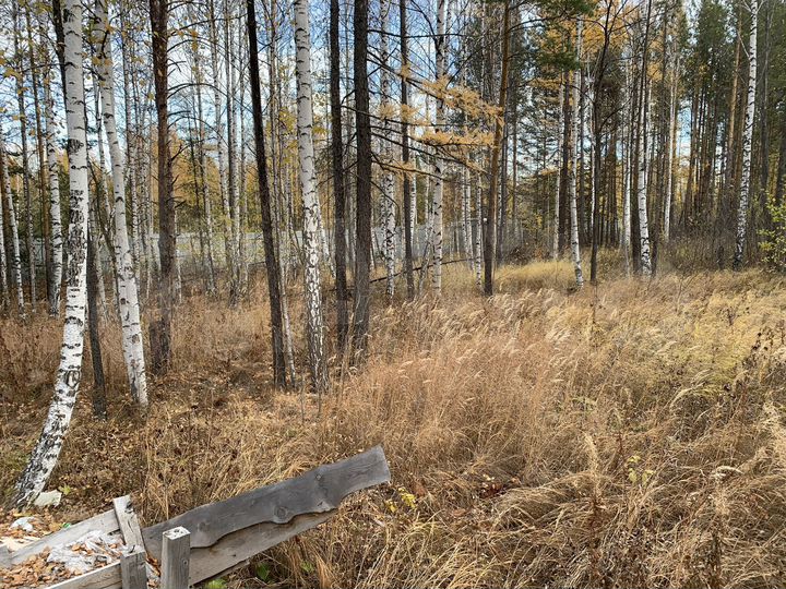 Участок 10 сот. (СНТ, ДНП)