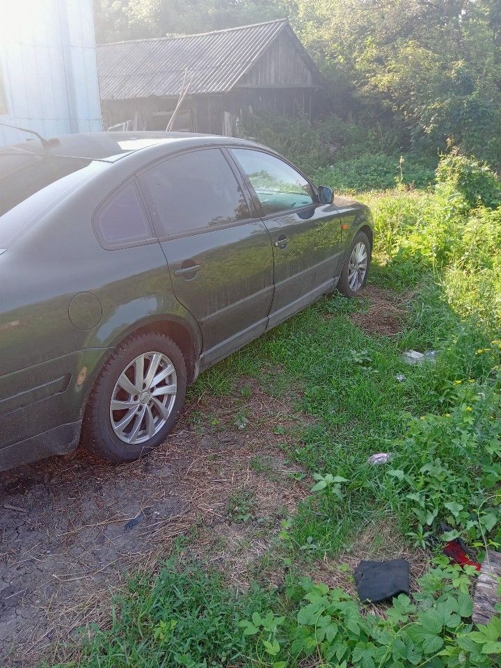 Volkswagen Passat: фото владельца
