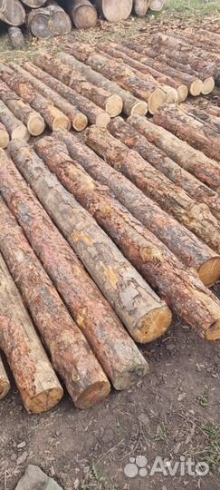 Столбы лиственные