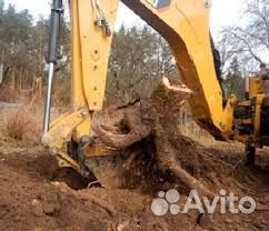 Спилим дерево