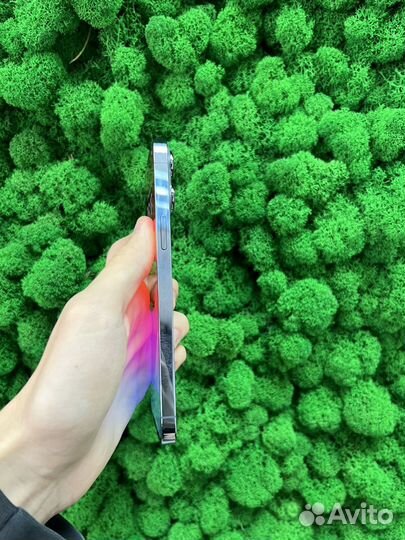 iPhone 13 Pro Max, 1 ТБ