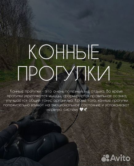 Конные прогулки и тренировки