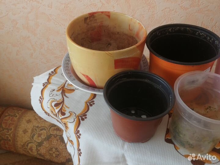Горшочки для ростний