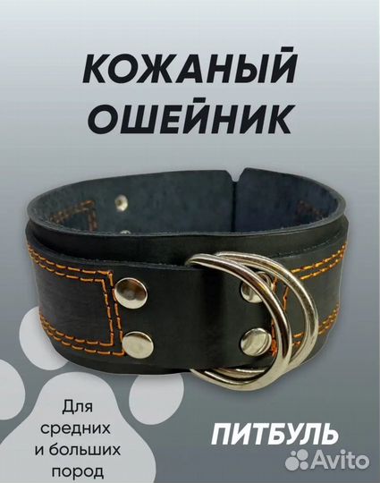 Ошейник для собак