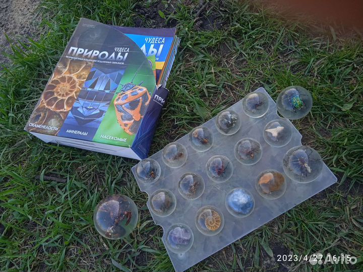 Чудеса природы