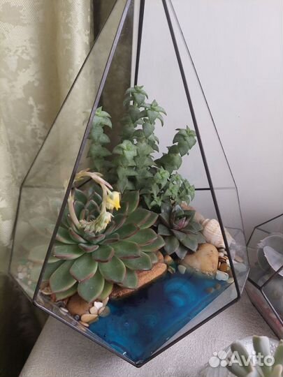 Флорариумы