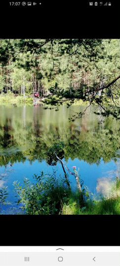 Дом 35 м² на участке 15 сот.