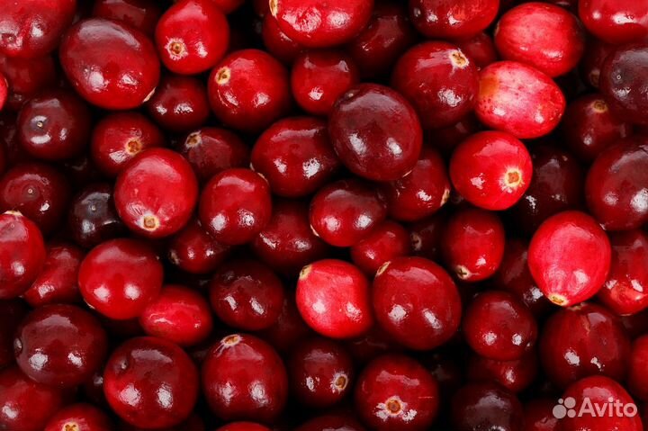 Клубника,малина,клюква,ежевика,черника,облепиха