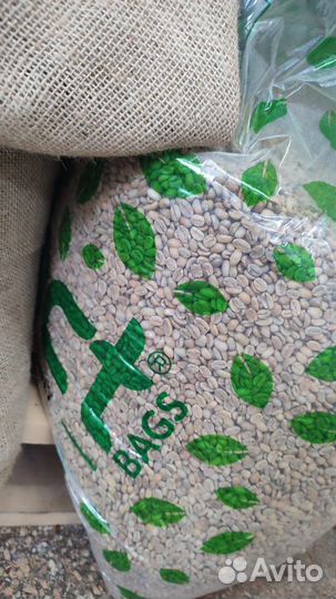 Кофе в зернах зелёный 100кг