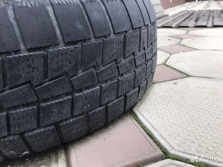 Белшина Бел-81