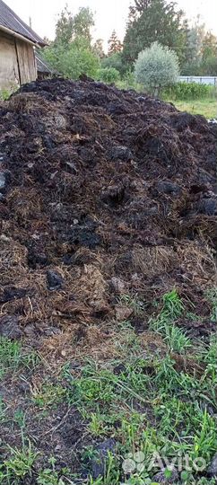 Навоз коровий