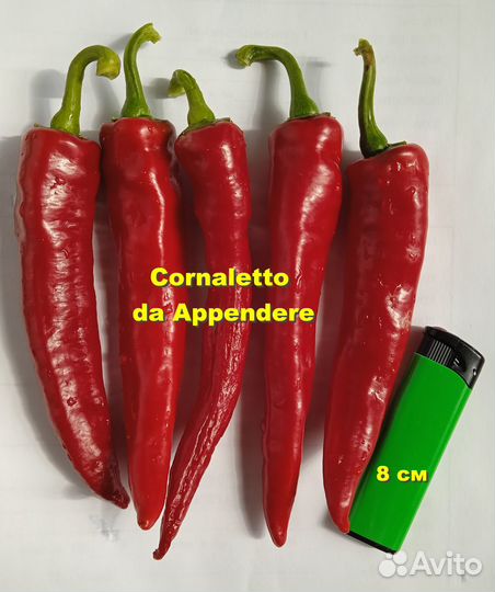 Перец пепперони «Cornaletto» 15 семян