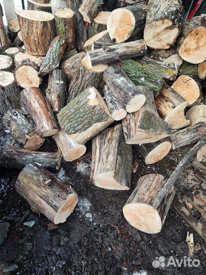 Дрова чернолесье, сосновые и дубовые в пеньках