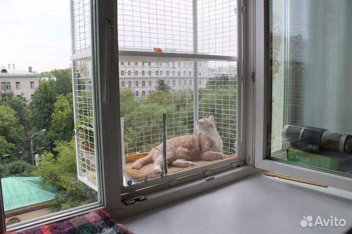 Балкончик для кошки на окно