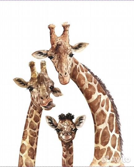 Авторские фотообои 