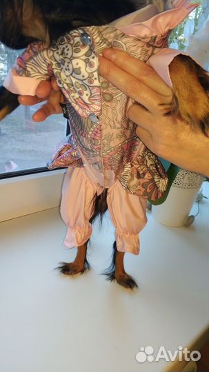 Дождевик для собачки (для девочки)