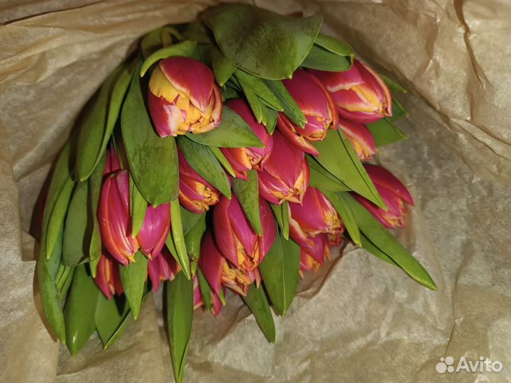 Тюльпаны к 8 марта оптом