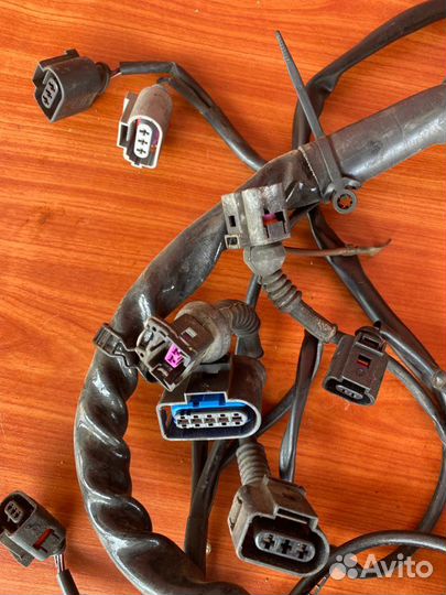 Проводов моторного отсека Vw Passat B5+ AVB