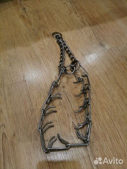 Строгий ошейник