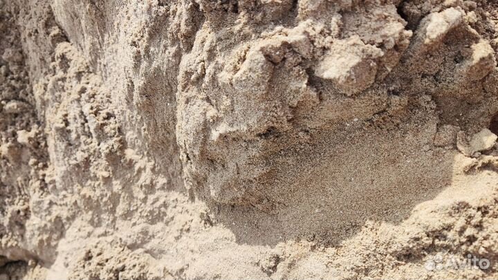 Барханник песок