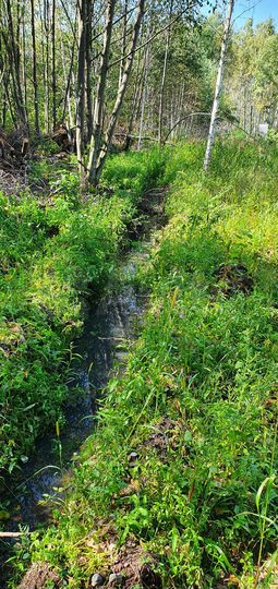 Участок 10 сот. (СНТ, ДНП)