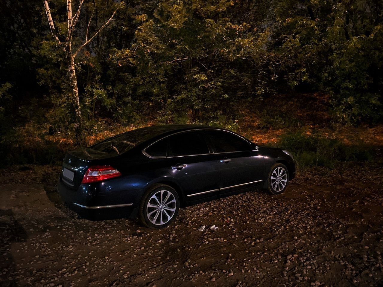Nissan Teana: фото владельца