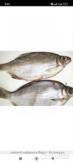 Рыба вяленная