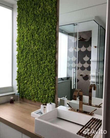 Стабилизированный мох Фито панели