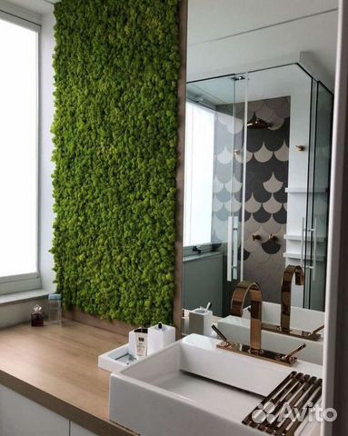 Стабилизированный мох Фито панели