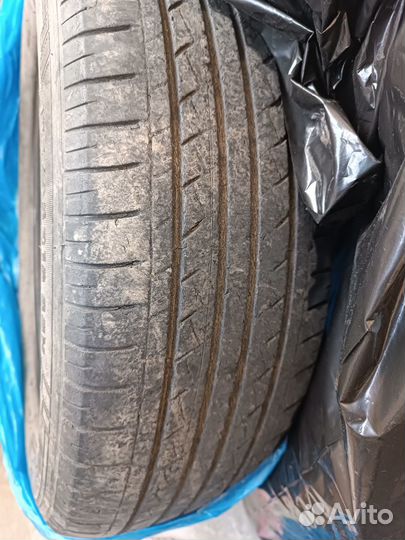 GT Radial Champiro VP1 185/65 R15