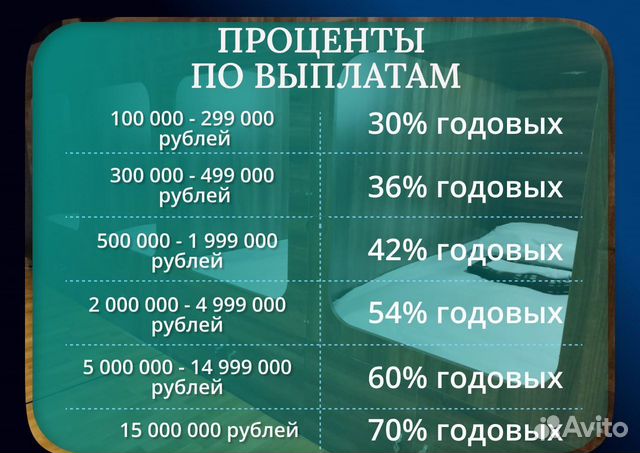 Бизнес инвестиции 30-70 годовых