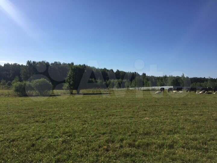 Участок 5,01 га (СНТ, ДНП)