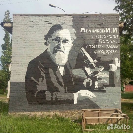 Строительство