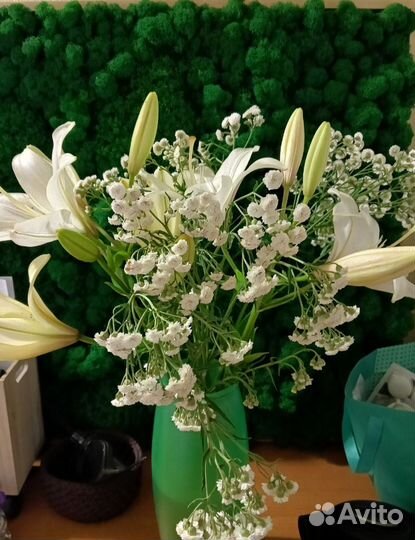 Тысячелистник птармика