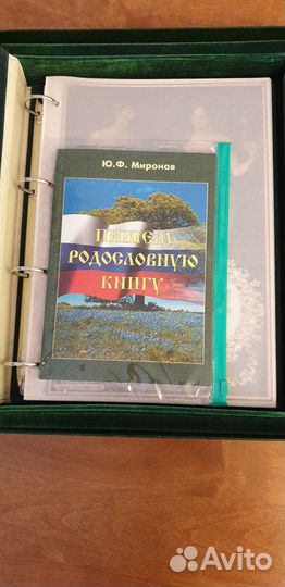 Родословня книга ю ф миронов