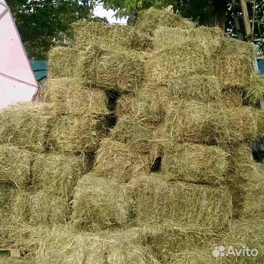 Сено В тюках
