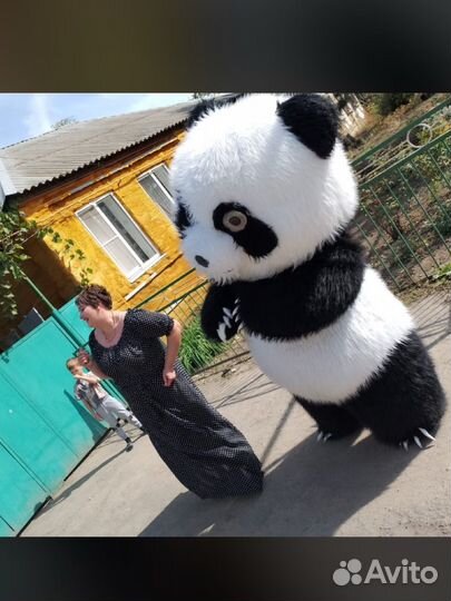 Мишка Аниматор