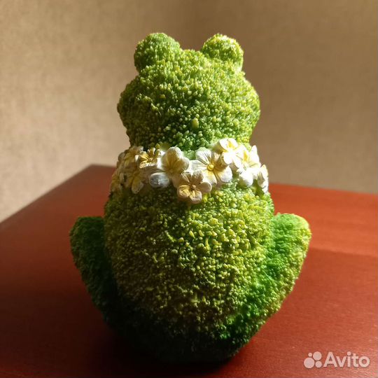 Лягушки из коллекции