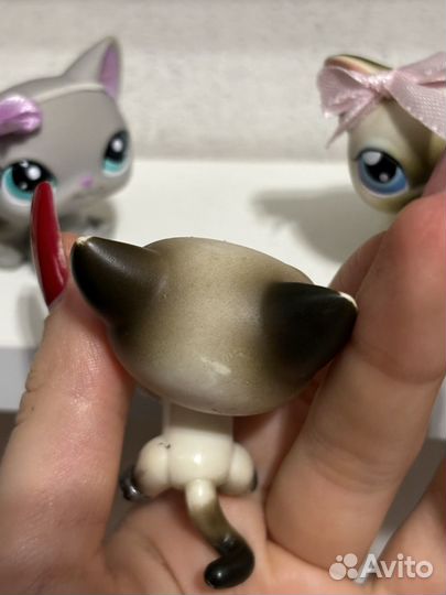 Littlest Pet Shop, lps стоячка сиам