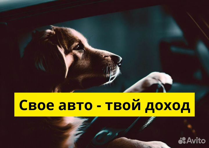 Подключай свое т/с к Яндекс GO