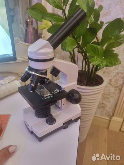 Микроскоп levenhuk rainbow 2l