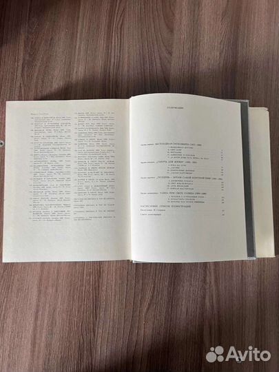 А. Перрюшо. Жизнь Ван Гога