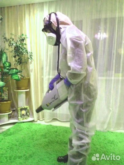 Уничтожение клопов, тараканов, клещей и муравьев