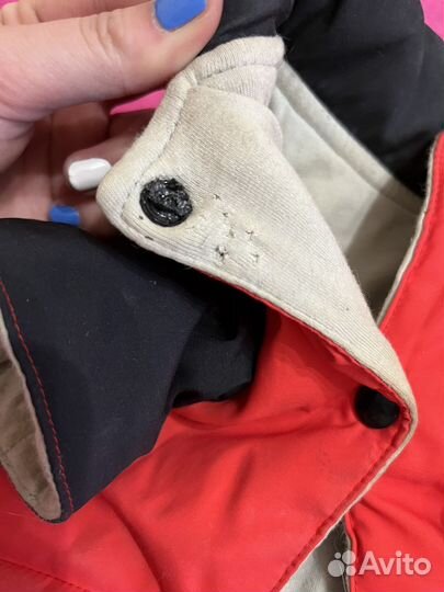 Одежда для собак