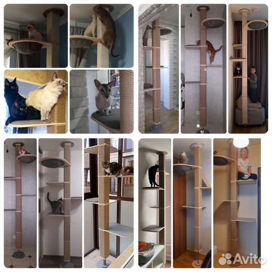 Когтеточка, когтедерка, комплекс, домик